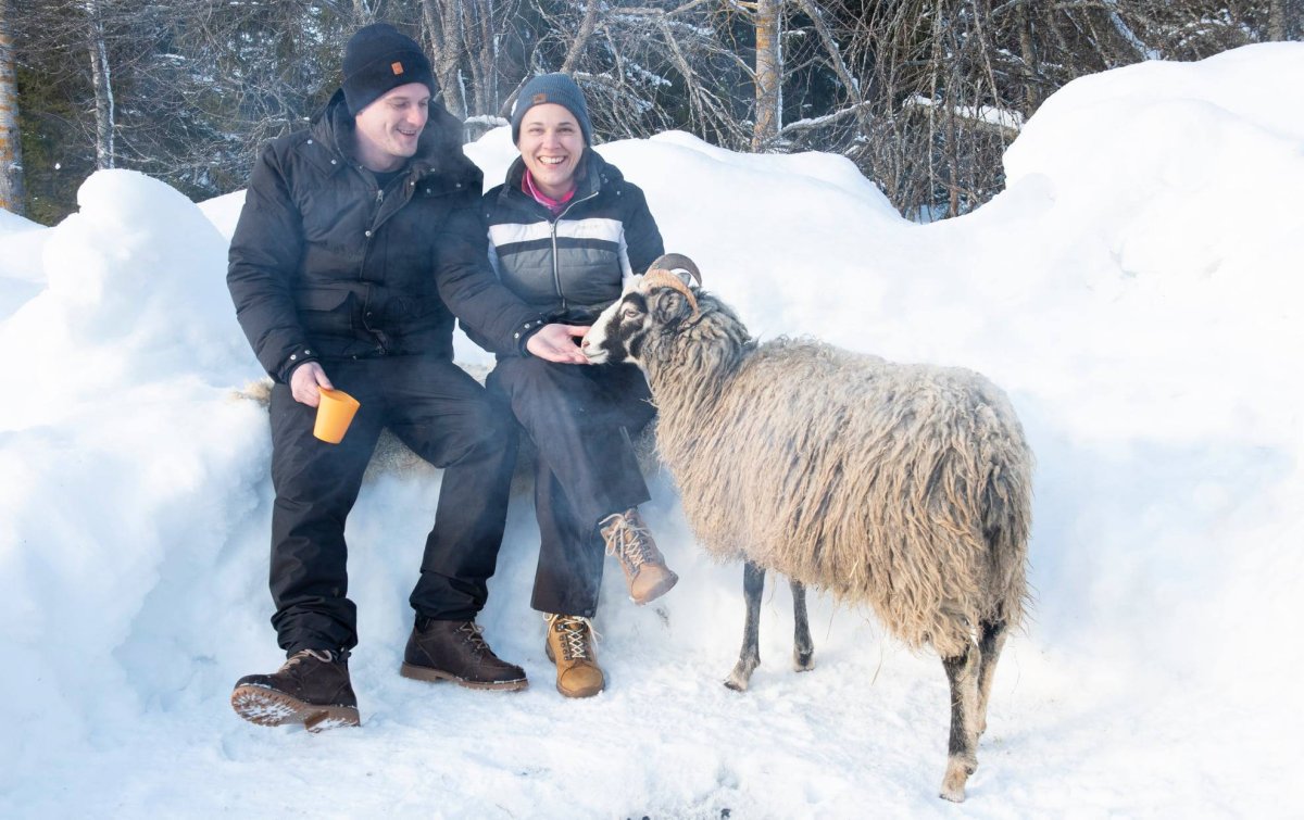 En man och en kvinna dricker kaffe ute en vinterdag och klappar ett får.